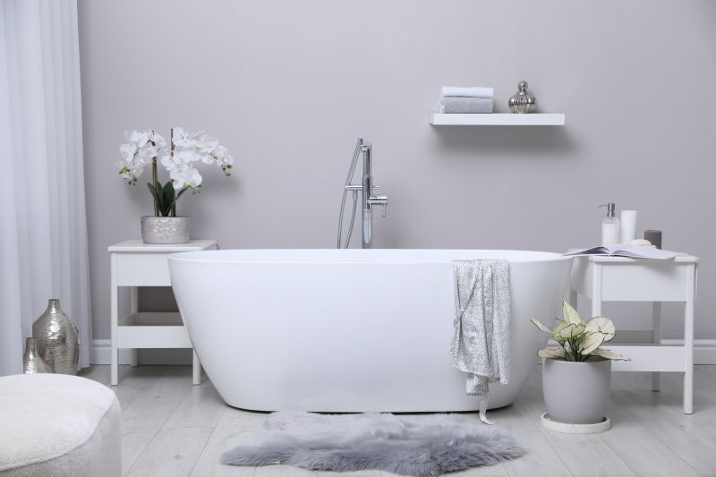 Contemporary Tub and Fixtures